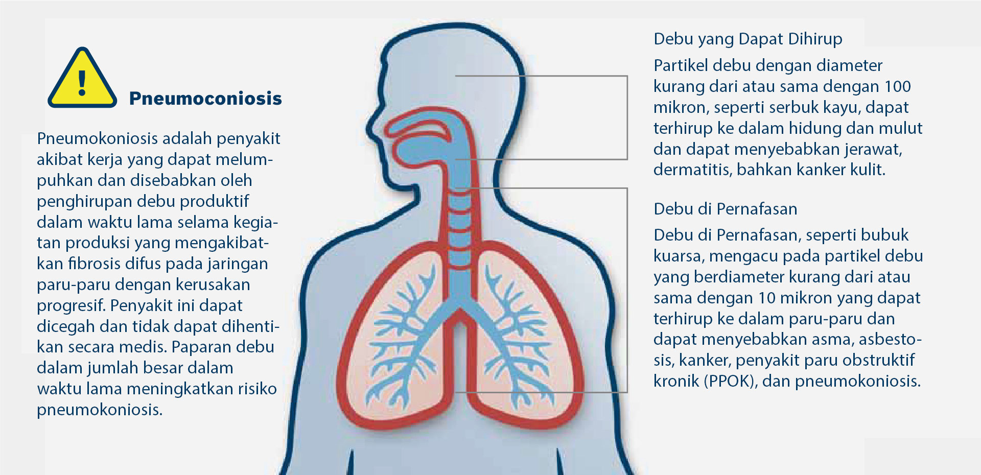 Grafik tentang pneumokoniosis dengan diagram saluran pernapasan dan teks penjelasan.